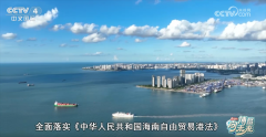 <b>博鳌经济新察看｜海南自贸港拓展全球“伴侣圈</b>