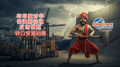 中国出口商通过马来西亚转口商业应对印度反推