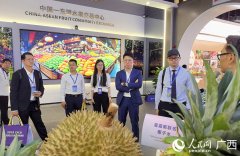 果彩缤纷 东盟名果